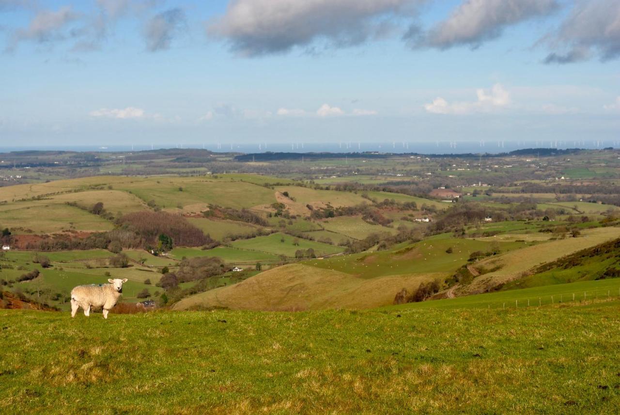 Penbedw Uchaf Estate - Rural Retreats, Tennis Mold Esterno foto