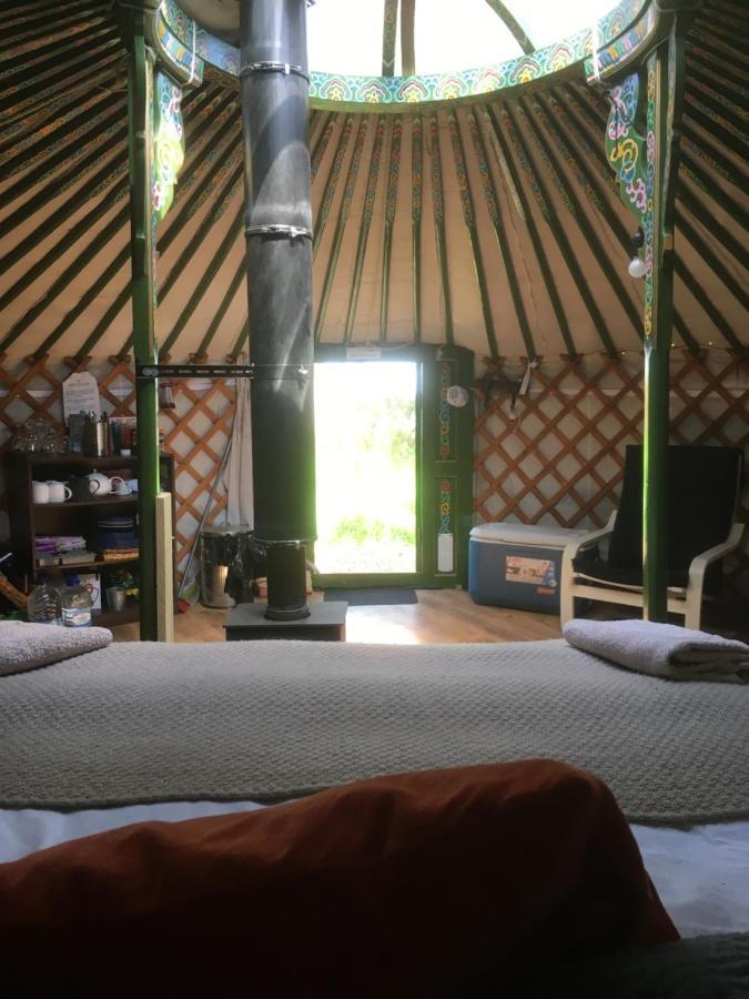 Penbedw Uchaf Estate - Rural Retreats, Tennis Mold Esterno foto