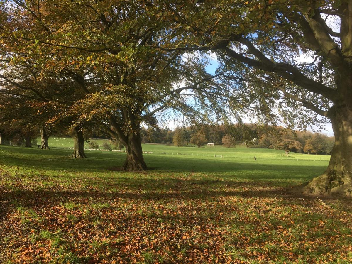 Penbedw Uchaf Estate - Rural Retreats, Tennis Mold Esterno foto