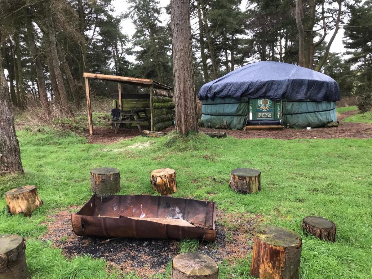 Penbedw Uchaf Estate - Rural Retreats, Tennis Mold Esterno foto